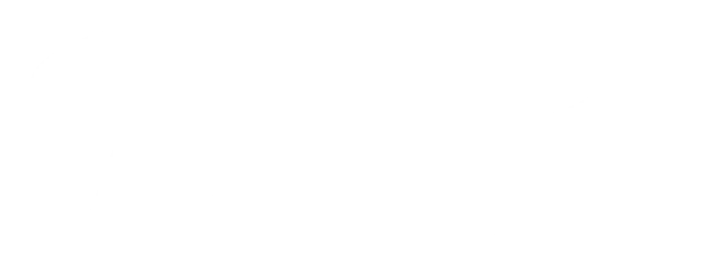 Logo Wise
